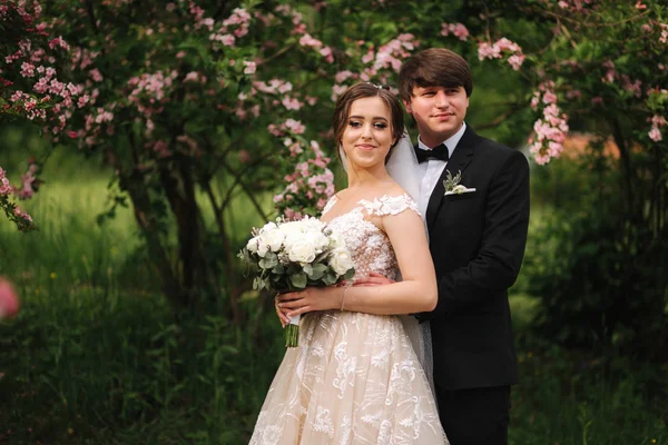 Pengantin pria yang tampan memeluk pengantin wanitanya yang cantik. Pengantin baru berjalan di taman. Wanita berambut cokelat dengan gaun pengantin yang elegan. Pohon Blossom — Stok Foto