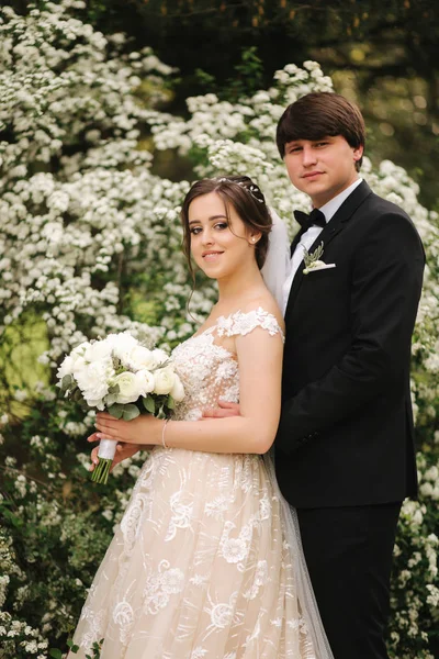 Bello sposo abbracciare la sua sposa nel giorno del loro matrimonio. Sfondo di alberi da fiore — Foto Stock