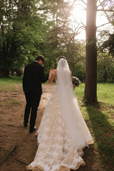 Visão traseira de vassoura e noiva andando na floresta — Fotografia de Stock