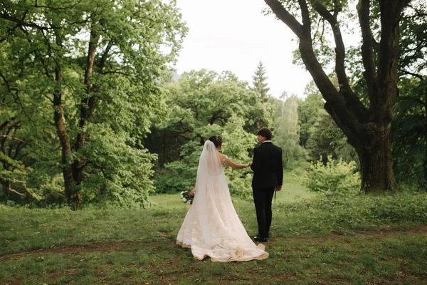 Vue arrière du balai et de la mariée marchant dans la forêt — Photo