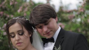 Yakışıklı damat onun güzel gelin sarılmak. Yeni evliler parkta yürüyor. Zarif gelinlik kahverengi saçlı kadın. Çiçek ağacı