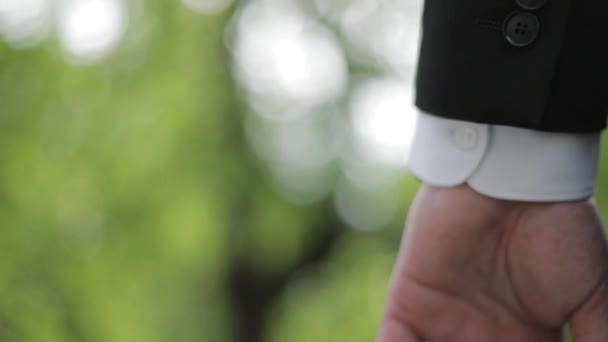 Mãos de noivo e noiva no dia do casamento — Vídeo de Stock