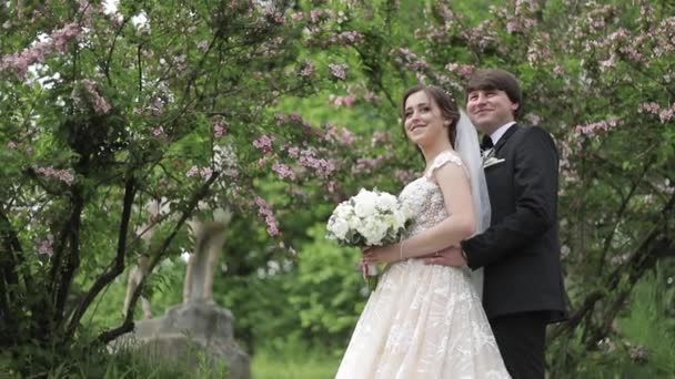 Schöner Bräutigam umarmt seine schöne Braut. Frischvermählte beim Spaziergang im Park. Frau mit braunem Haar im eleganten Hochzeitskleid. Blütenbaum — Stockvideo