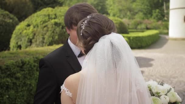Nygifta går i parken nära det stora slottet. Vacker brud med stilig brudgummen — Stockvideo