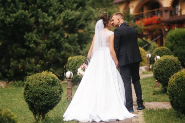 Damat ve gelinin arka görünümü. Çift Parkta yürür