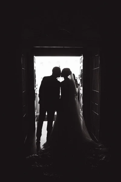 Silhouette du marié et de la mariée debout dans les portes. Ils s'embrassent. Couple de mariage — Photo