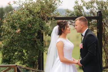 Dışarıda düğün töreni. Sadece evlendim. Dağların arka planı