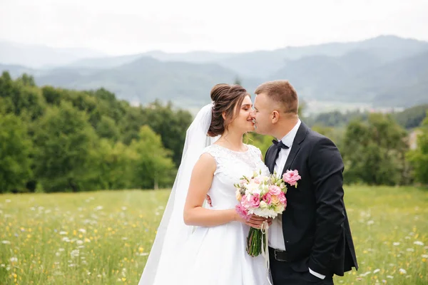 Vőlegény és a menyasszony állni a fiels. Háttérben a hegyek. Boldog pár — Stock Fotó