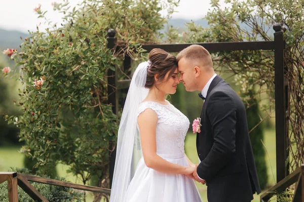 Dışarıda düğün töreni. Sadece evlendim. Dağların arka planı