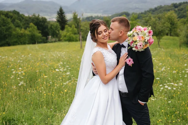 Bräutigam und Braut stehen auf dem Feld. Hintergrund der Berge. Glückliches Paar — Stockfoto