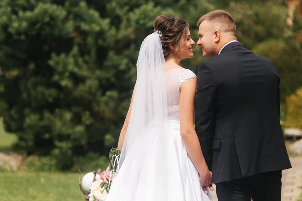 Vista posteriore dello sposo e della sposa. Un paio di passeggiate nel parco — Foto Stock