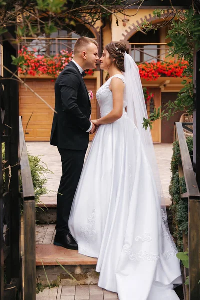 Cerimônia de casamento lá fora. Acabei de casar. Fundo de montanhas — Fotografia de Stock