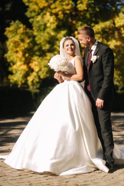 Güzel gelin kocası parkta. Sarı ağacın yanında yürüyorlar. Güzel makyaj