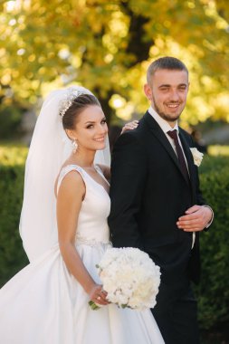 Parkta kocasıyla güzel bir gelin. Sarı ağacın arka planı. Mutlu çift