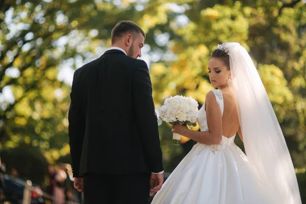 Bella sposa con suo marito nel parco. Sfondo di albero giallo. Coppia felice — Foto Stock