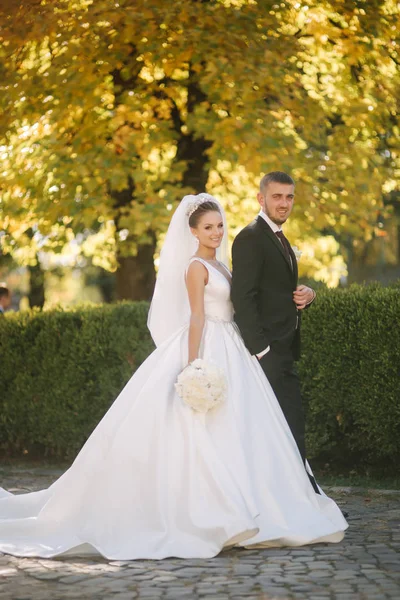 Bela noiva com o marido no parque. Fundo da árvore amarela. Casal feliz — Fotografia de Stock