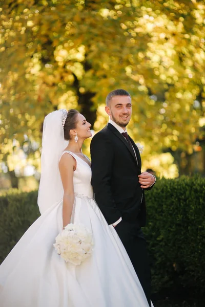 Bela noiva com o marido no parque. Fundo da árvore amarela. Casal feliz — Fotografia de Stock