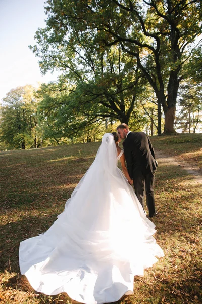Fiatal menyasszony a vőlegény az erdőben járás. Nő, hosszú, fehér ruhában és férfi fekete öltönyt nyakkendő — Stock Fotó