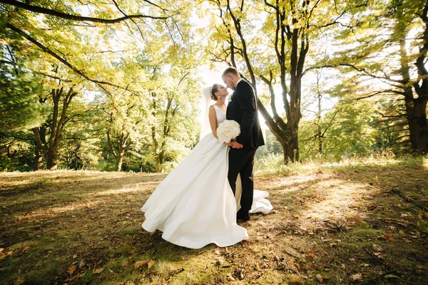 Молода наречена з нареченим ходить у лісі. Жінка з довгим білим платтям і чоловік в чорному костюмі з краваткою — стокове фото