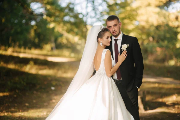 Novia joven con novio caminando en el bosque. Mujer con vestido blanco largo y hombre en traje negro con corbata — Foto de Stock