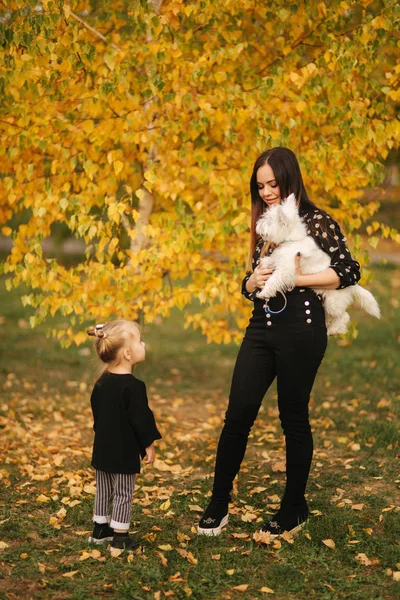 Η μητέρα και η μικρή κόρη περπατά με το σκύλο της τον φθινοπωρινό καιρό. Κομψή μικρή κόρη και η όμορφη μητέρα της. Καλή παιδική ηλικία. Ύπαιθρο πορτραίτο της ευτυχης οικογένειας. — Φωτογραφία Αρχείου