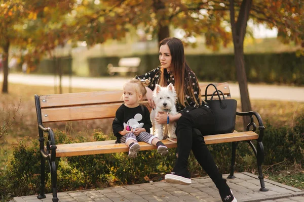 Gelukkige moeder en haar dochter spelen met hond in herfst Park. Familie, pet, huisdier en lifestyle concept. Herfst tijd. Moeder en dochter zittend op de Bank — Stockfoto