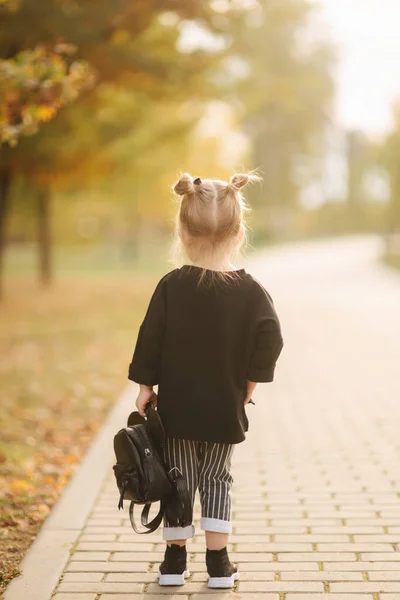 Retrato de niña caminando en la parte en otoño. Cabello rubio niña fuera. Otoño cálido. Vista trasera del niño caminando — Foto de Stock