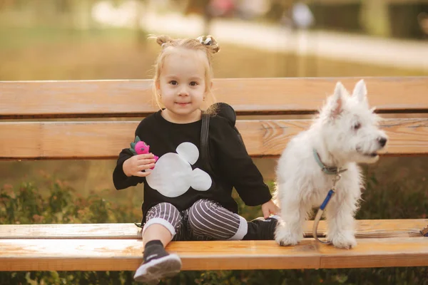 Το ευτυχισμένο κοριτσάκι κάθεται στο πάρκο του φθινοπώρου με το μικρό της λευκό σκύλο. Καλή παιδική ηλικία. Φθινοπωρινή ιδέα — Φωτογραφία Αρχείου