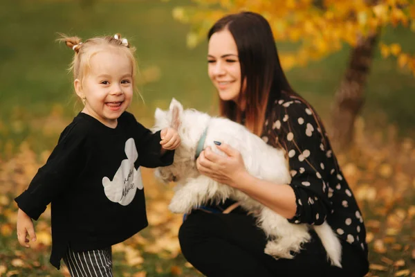 Mama și fiica se plimbă cu câinele pe vreme de toamnă. Fetița elegantă și mama ei frumoasă. O copilărie fericită. Portretul familiei fericite în aer liber . — Fotografie, imagine de stoc