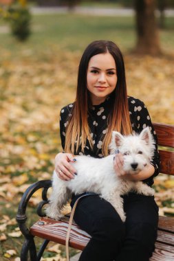 Güzel kahverengi saçlı kadın küçük beyaz köpek ile bankta oturup. Sonbahar zamanı