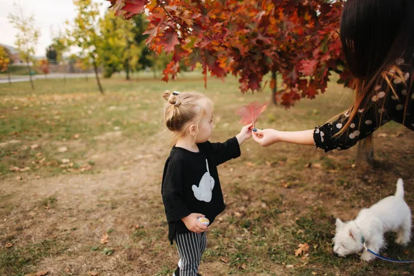 Mom and daughter spend time together in the park in autumn time. Happy family concept — Stock Photo, Image