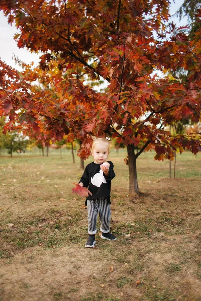 Portrait of little girl walking in the part in autumn. Blond hairl female kid outside. Warm autumn — Stock Photo, Image