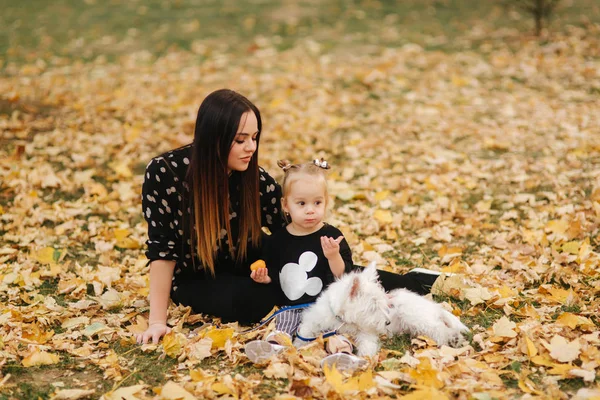 Счастливая мать и дочь играют с собакой в осеннем парке. Семья, домашнее животное, домашнее животное и образ жизни. Осеннее время . — стоковое фото