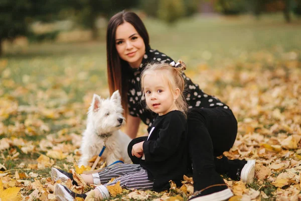 Mama fericită și fiica ei se joacă cu câinele în parcul de toamnă. Familie, animale de companie, animale domestice și stil de viață concept. Ora toamnei . — Fotografie, imagine de stoc