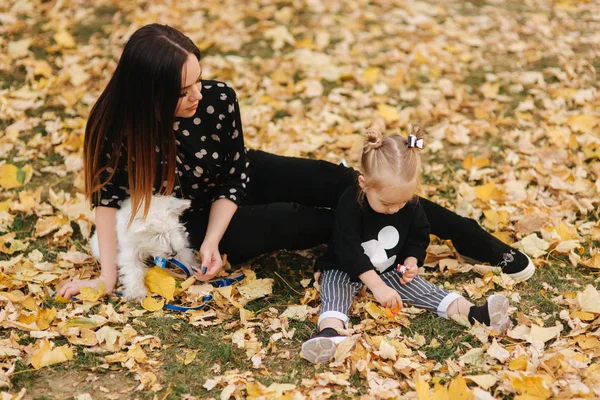 Lycklig mor och hennes dotter leker med hunden i höst parken. Familj, sällskapsdjur, husdjurs-och livsstilskoncept. Höst tid. — Stockfoto