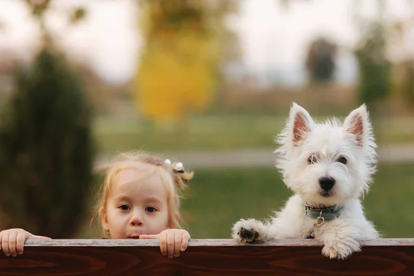 Joyeux petit garçon assis sur le bech dans le parc d'automne avec son petit chien blanc. Bonne enfance. Concept d'automne — Photo