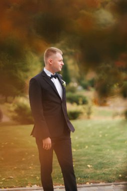 Sonbahar 'da gelinlik giymiş yakışıklı bir damat. Sarı ağacın arka planı. Siyah takım elbiseli, güzel papyonlu adam.
