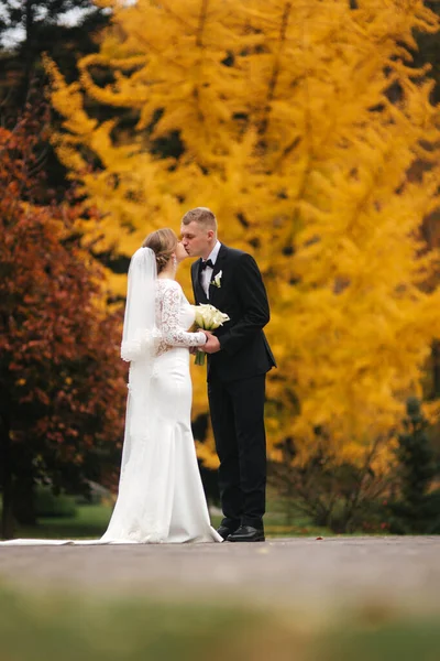 Bellissimo autunno nel parco. Coppia appena sposata che cammina vicino al grande albero giallo — Foto Stock