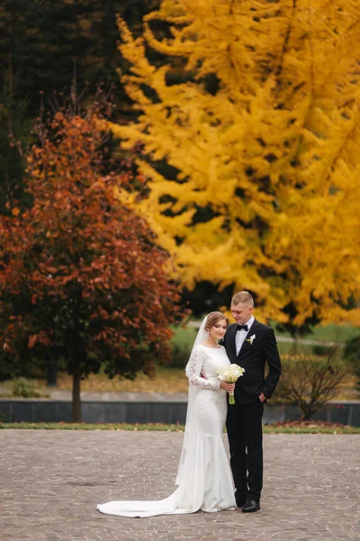Belo outono no parque. Casamento casal apenas andando pela grande árvore amarela — Fotografia de Stock