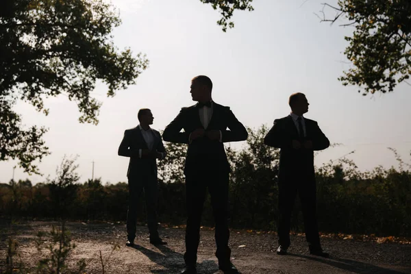 Silhouette of tree man in suit outside