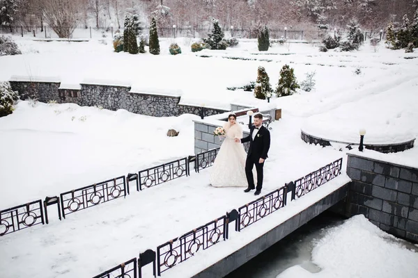 Wedding couple in winter time walking outside. Beautiful bride and handsome bearded groom