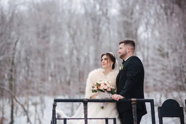 Elegante Braut im weißen Pelzmantel mit hübschem bärtigen Bräutigam vor schneebedeckten Bäumen — Stockfoto