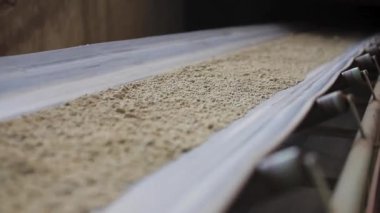 Çalışan ve kum taşıyan makineler. Endüstrideki taşıma bandı, seramik fabrika ekipmanları, taşıyıcıdaki kilin taşınması.