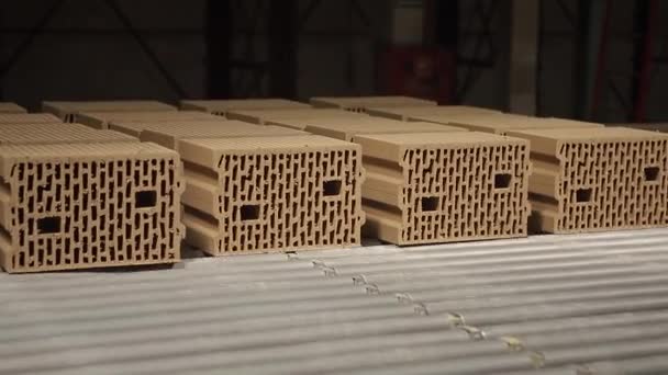 Fabryczny kompleks transportowy przenosi cegły — Wideo stockowe