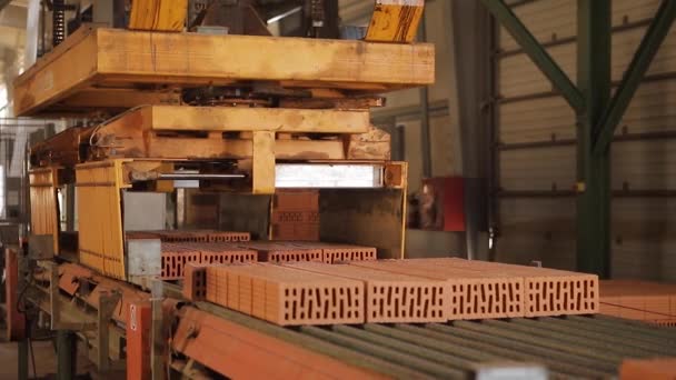Fabrikstransportkomplexet flyttar tegelstenar — Stockvideo