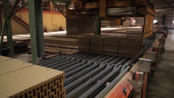 Fábrica transportando complexo é realocar tijolos — Vídeo de Stock