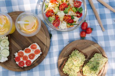 Piknik sepetinin üstünde sağlıklı vejetaryen sandviçler ve parkta mavi kareli battaniye. Taze meyve, sebze ve portakal suyu. Vegan piknik konsepti