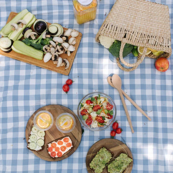 Vista superior de la cesta de picnic con sándwiches veganos saludables en manta a cuadros azul en el parque. Frutas frescas, verduras y zumo de naranja. Concepto de picnic vegano — Foto de Stock
