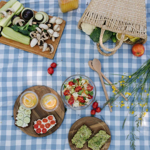 公园里,带着健康的素食三明治,蓝色格子毯子的野餐篮的头像.新鲜水果、蔬菜和橙汁.野餐的概念 — 图库照片