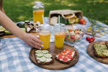 Kadın açık hava vegan pikniğinde taze portakal suyu, parkta mavi kareli battaniyede piknik yapıyor. Vejetaryen gıda konsepti